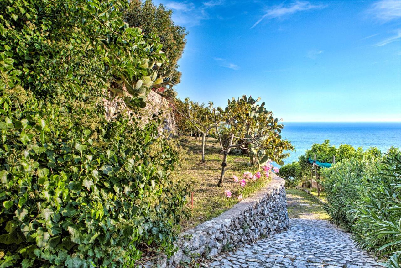 Villa Ad Maiori Exteriör bild